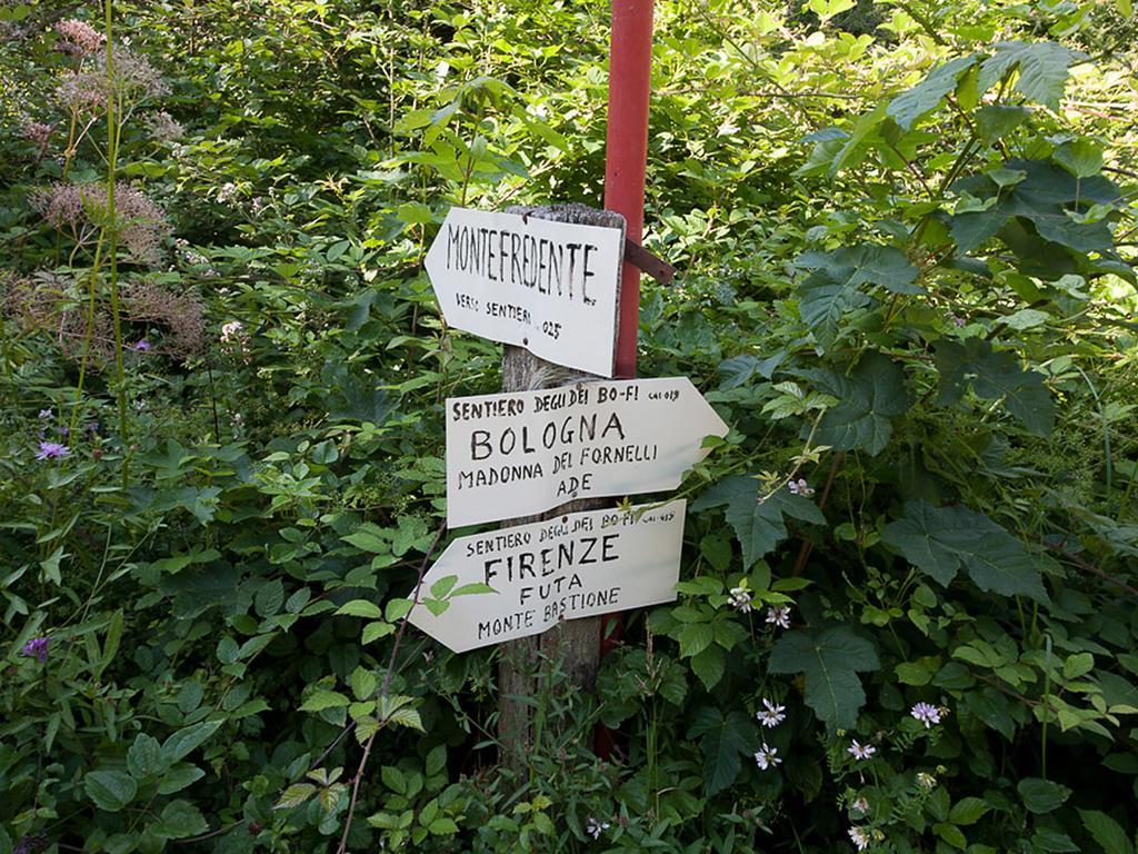 Lodole B&B Monzuno Exterior photo