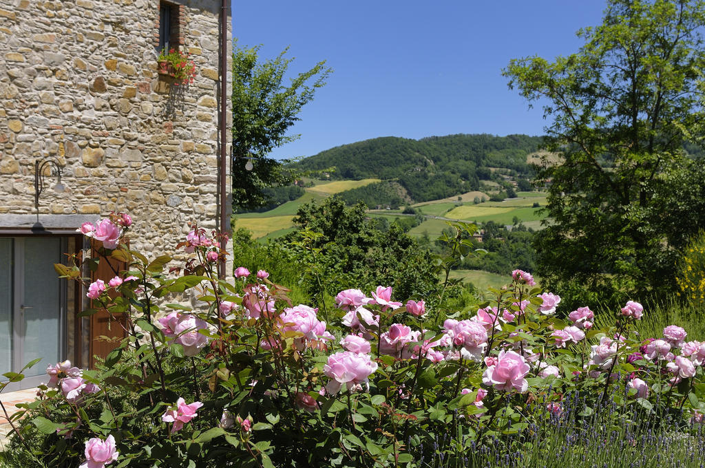 Lodole B&B Monzuno Exterior photo